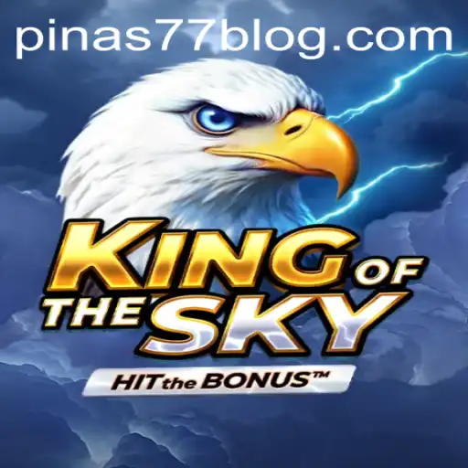 KingOfTheSky: Unveiling the Aviation Adventure
